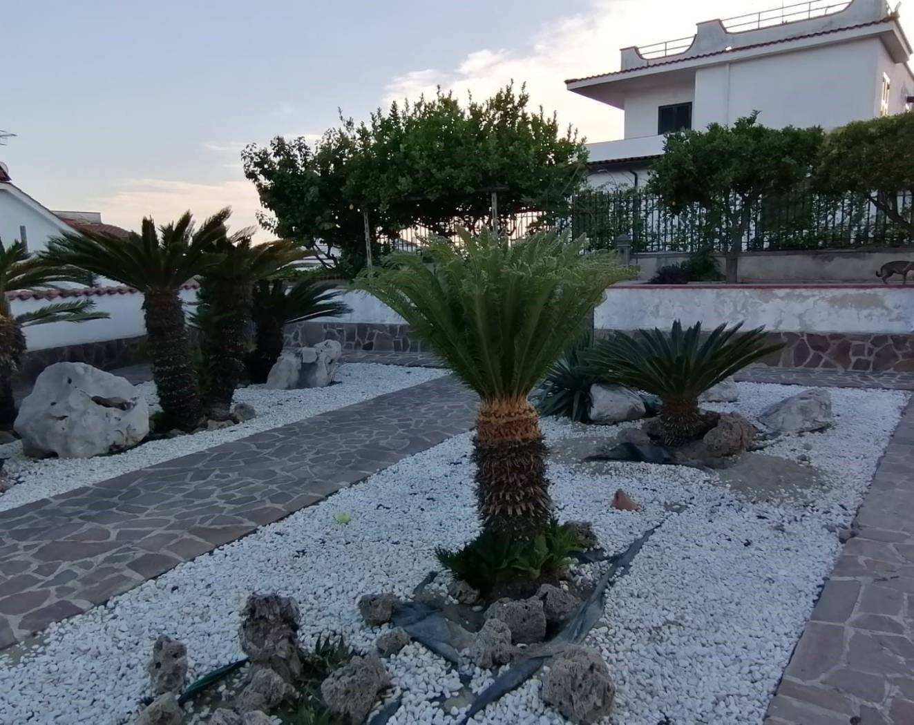 Giardino