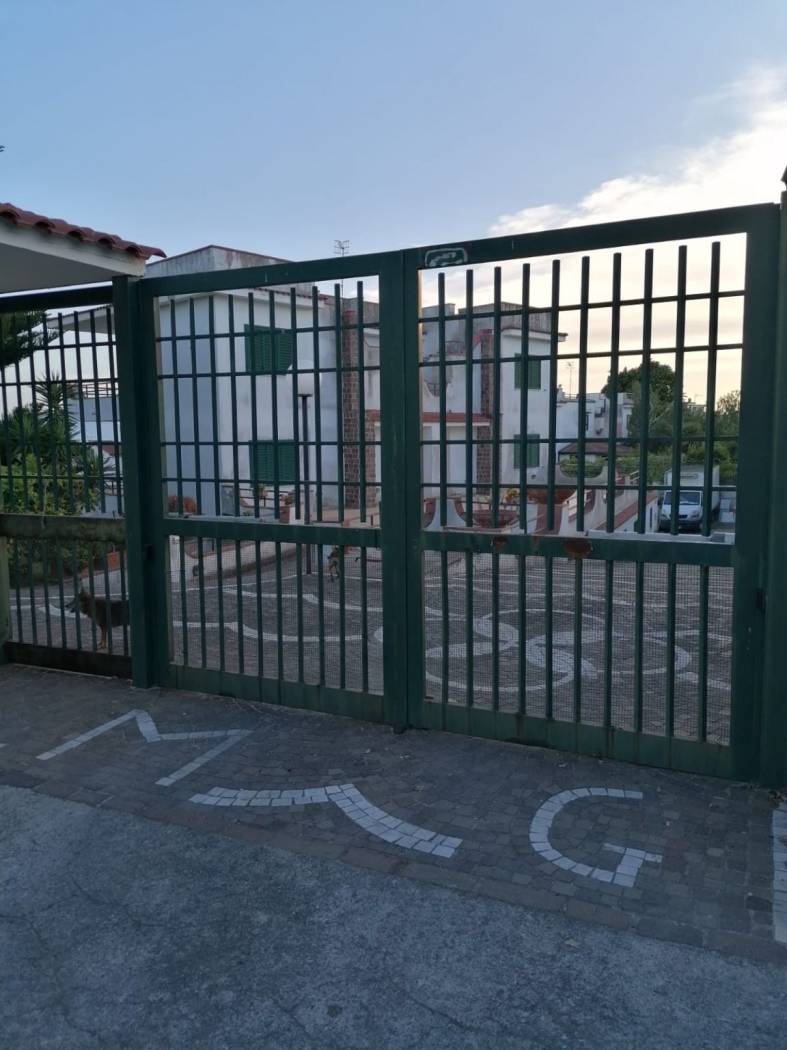 Ingresso