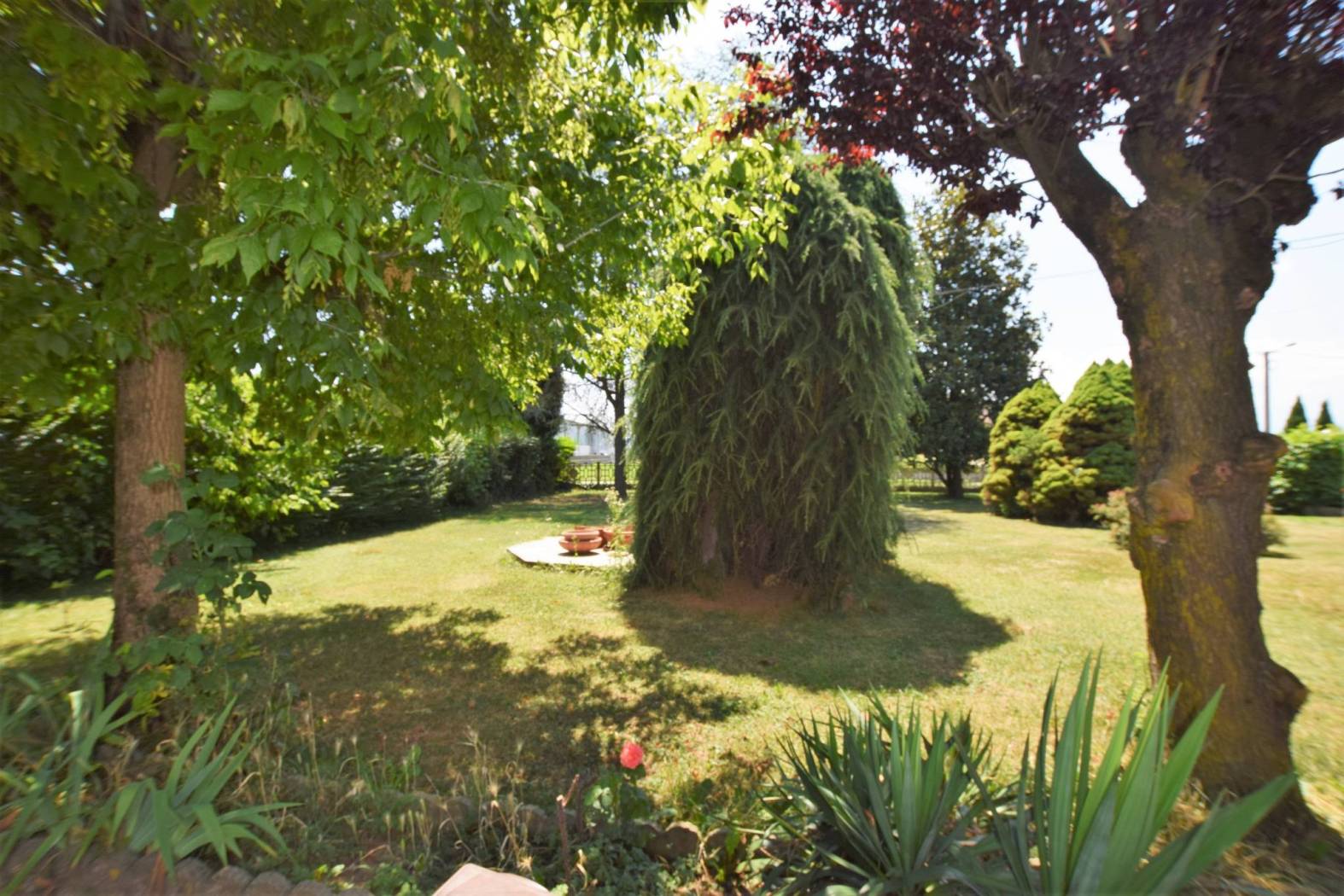 Giardino