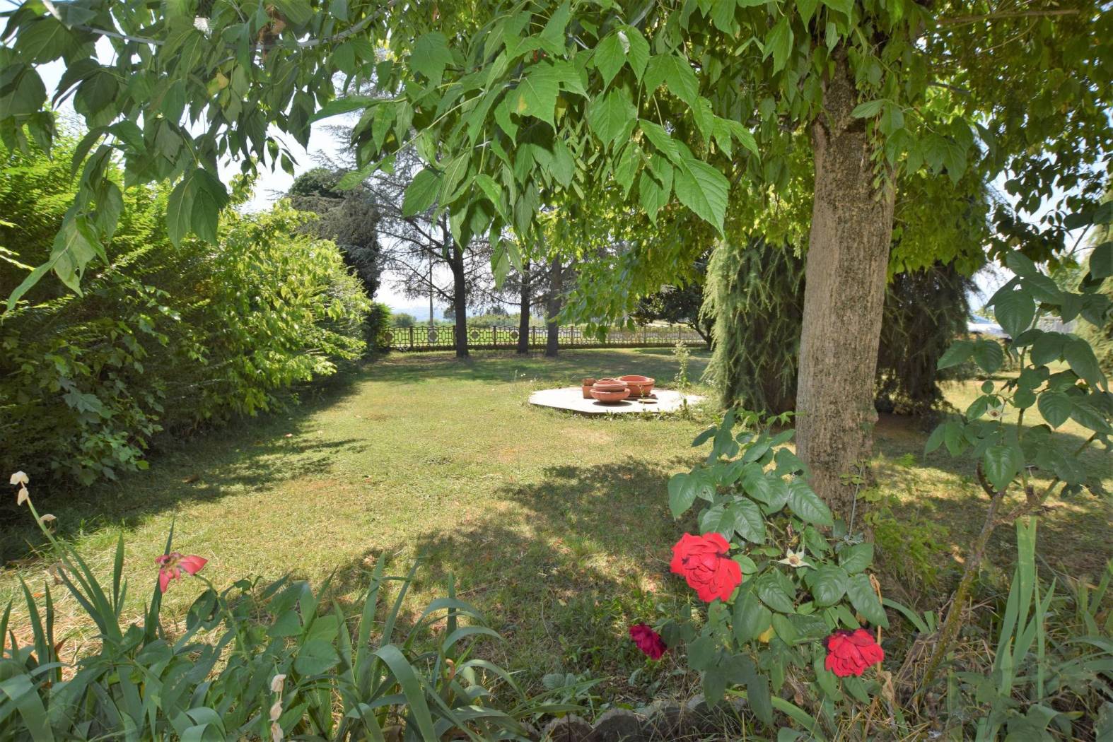 Giardino