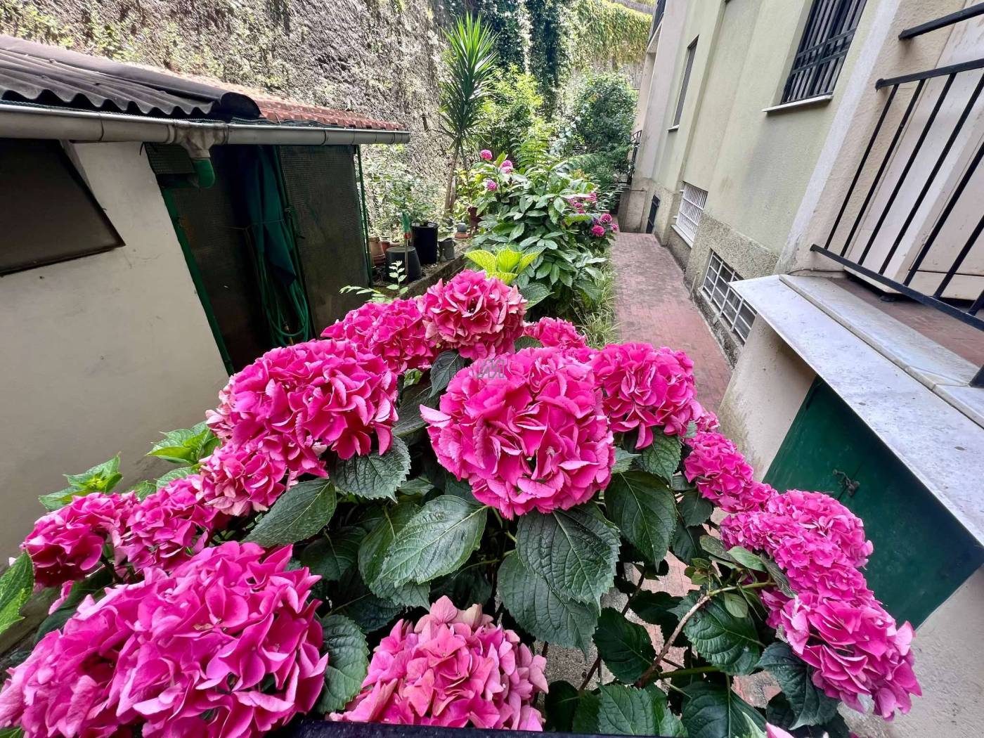 Balcone