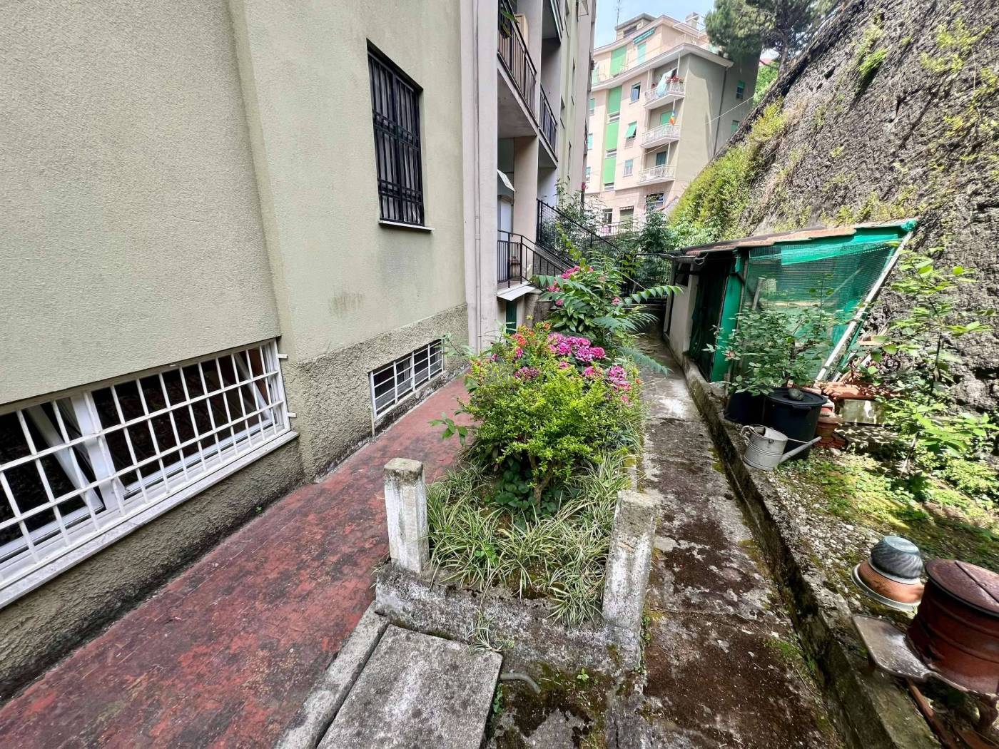 Giardino