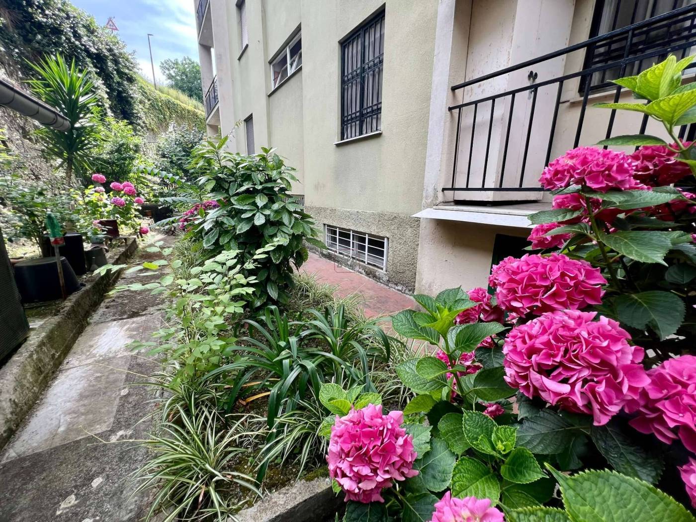 Giardino
