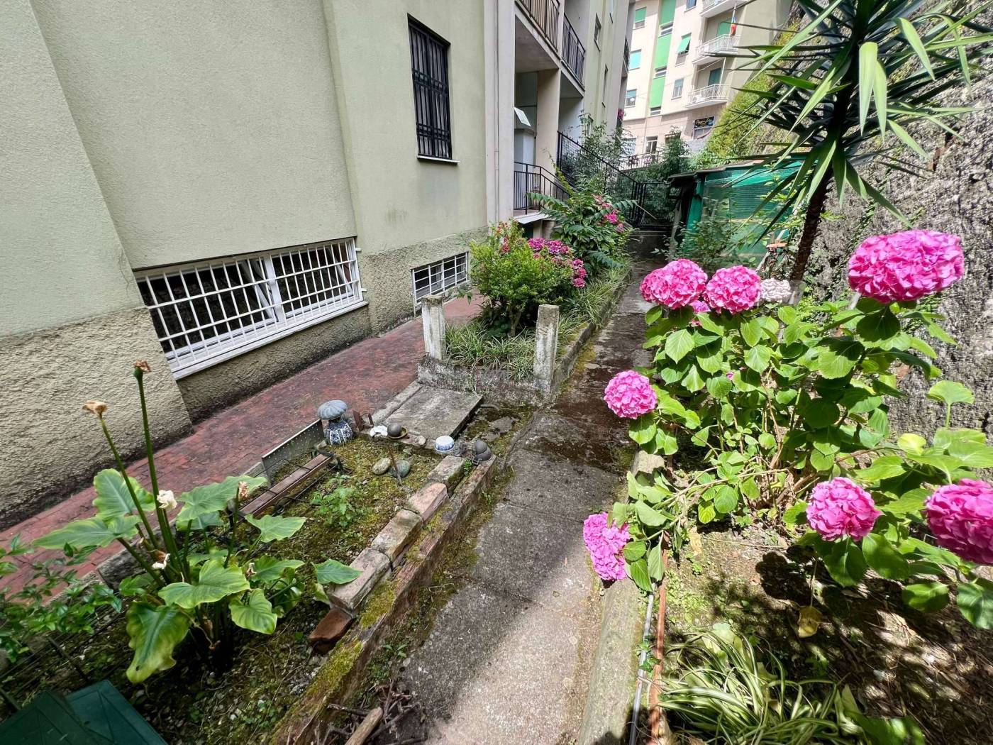 Giardino
