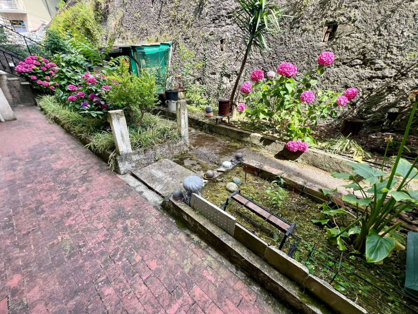 Giardino