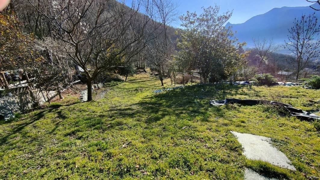 Terreno