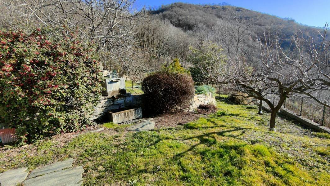 Terreno