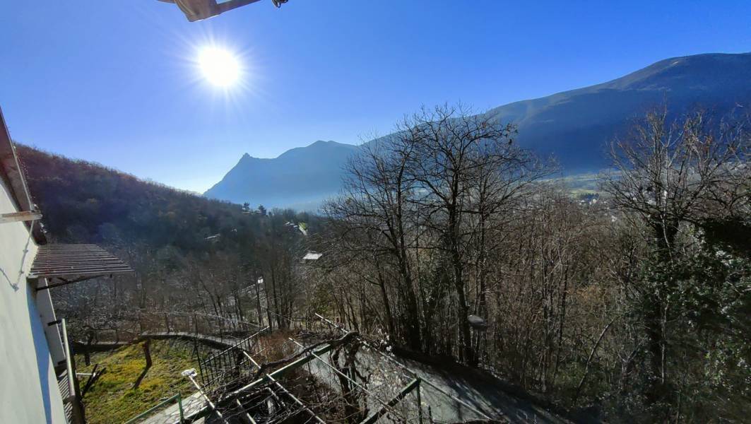 Vista