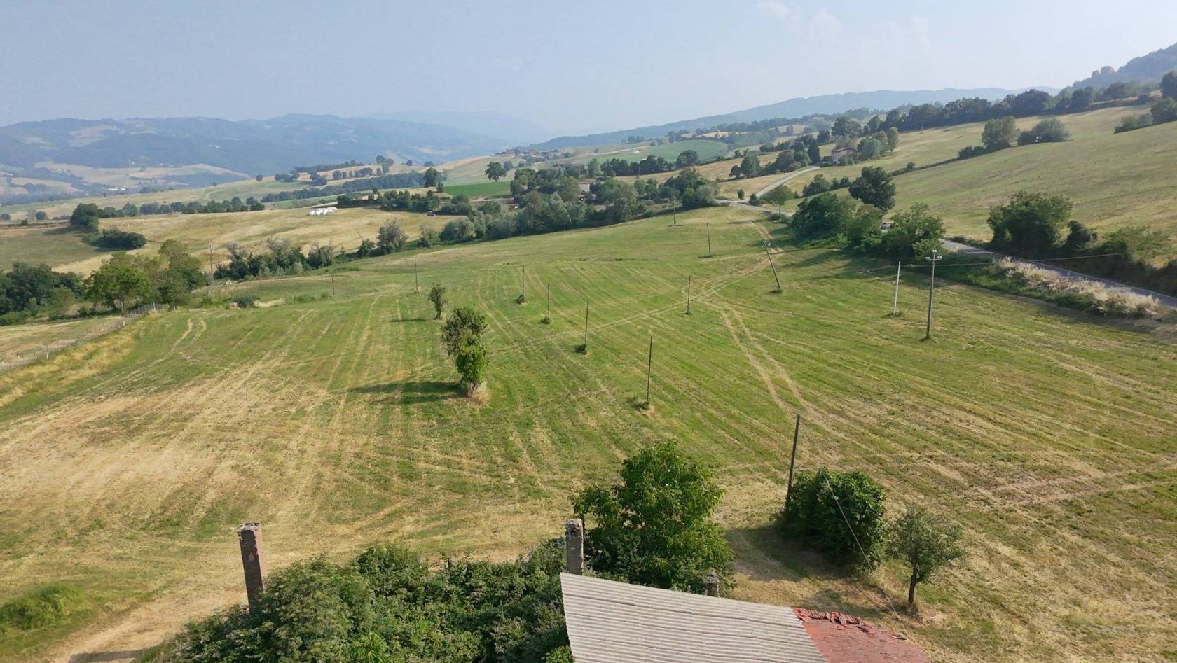 Vista
