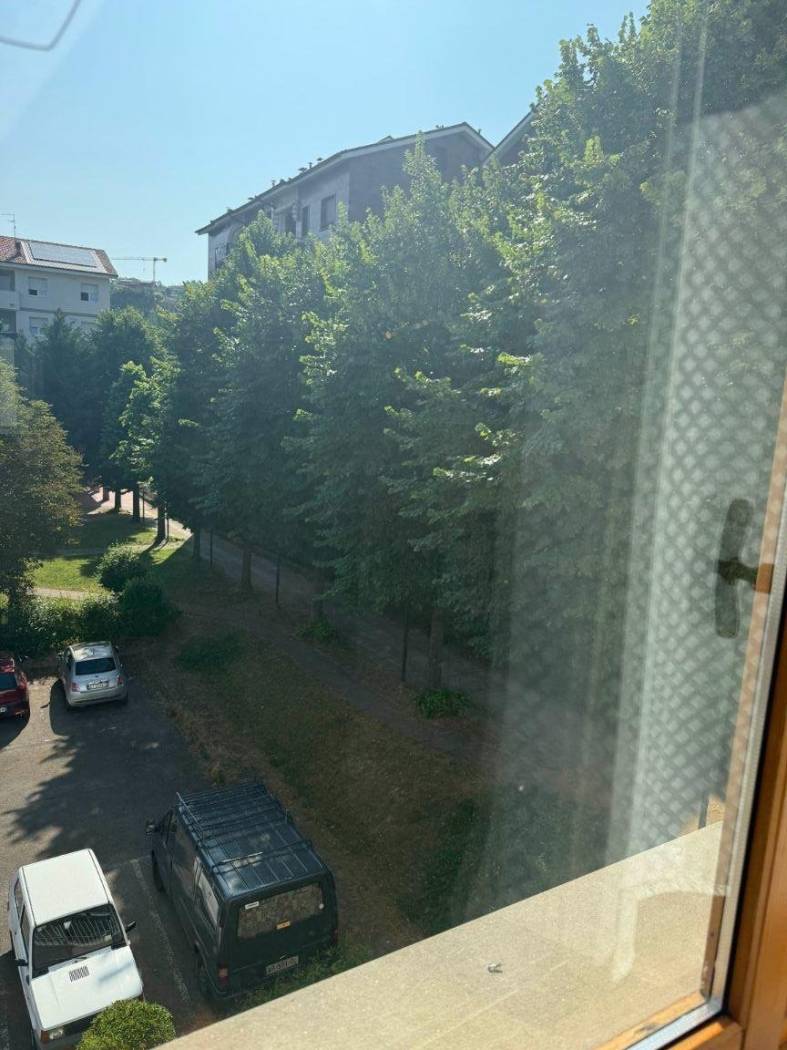 Vista