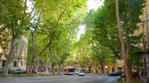 Zona