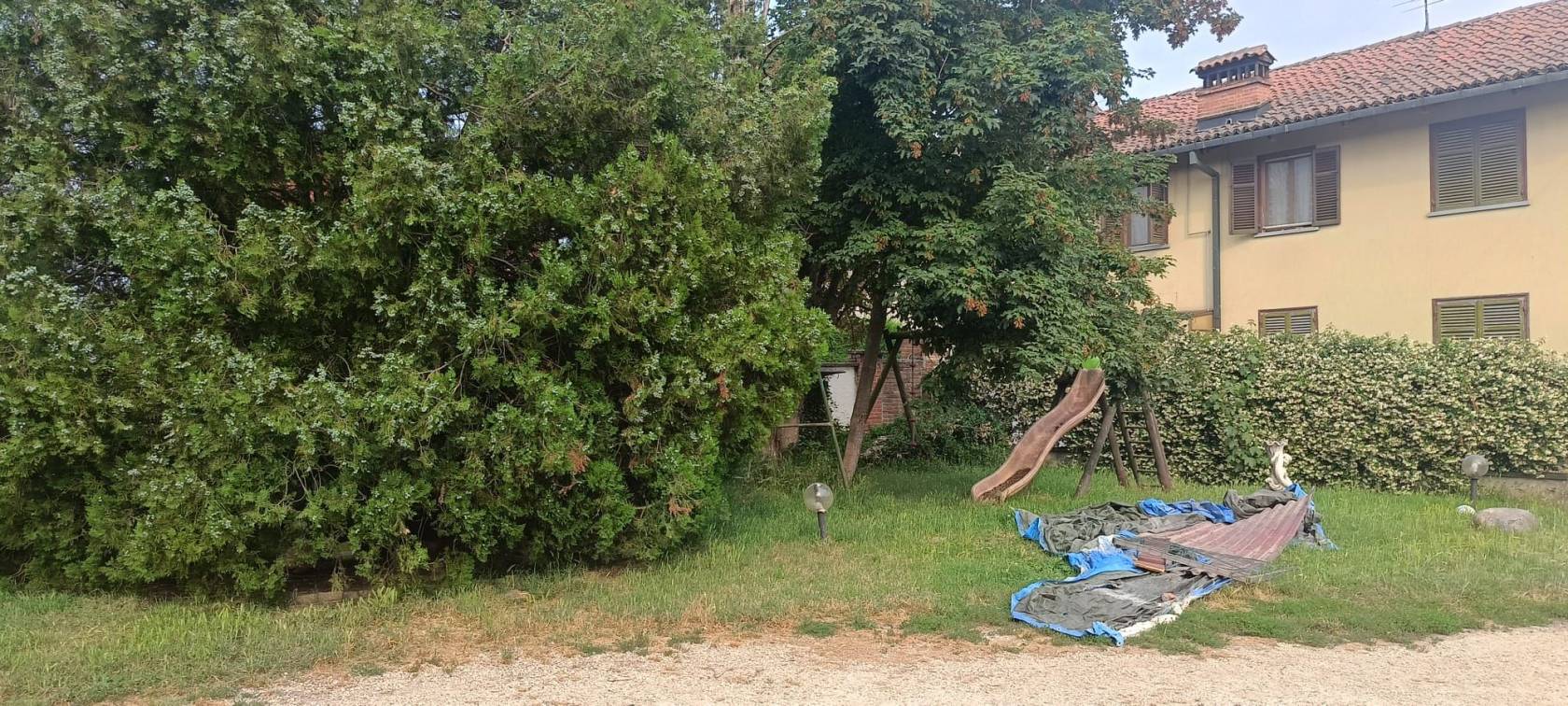 Giardino