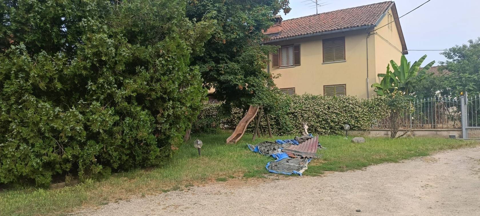 Giardino