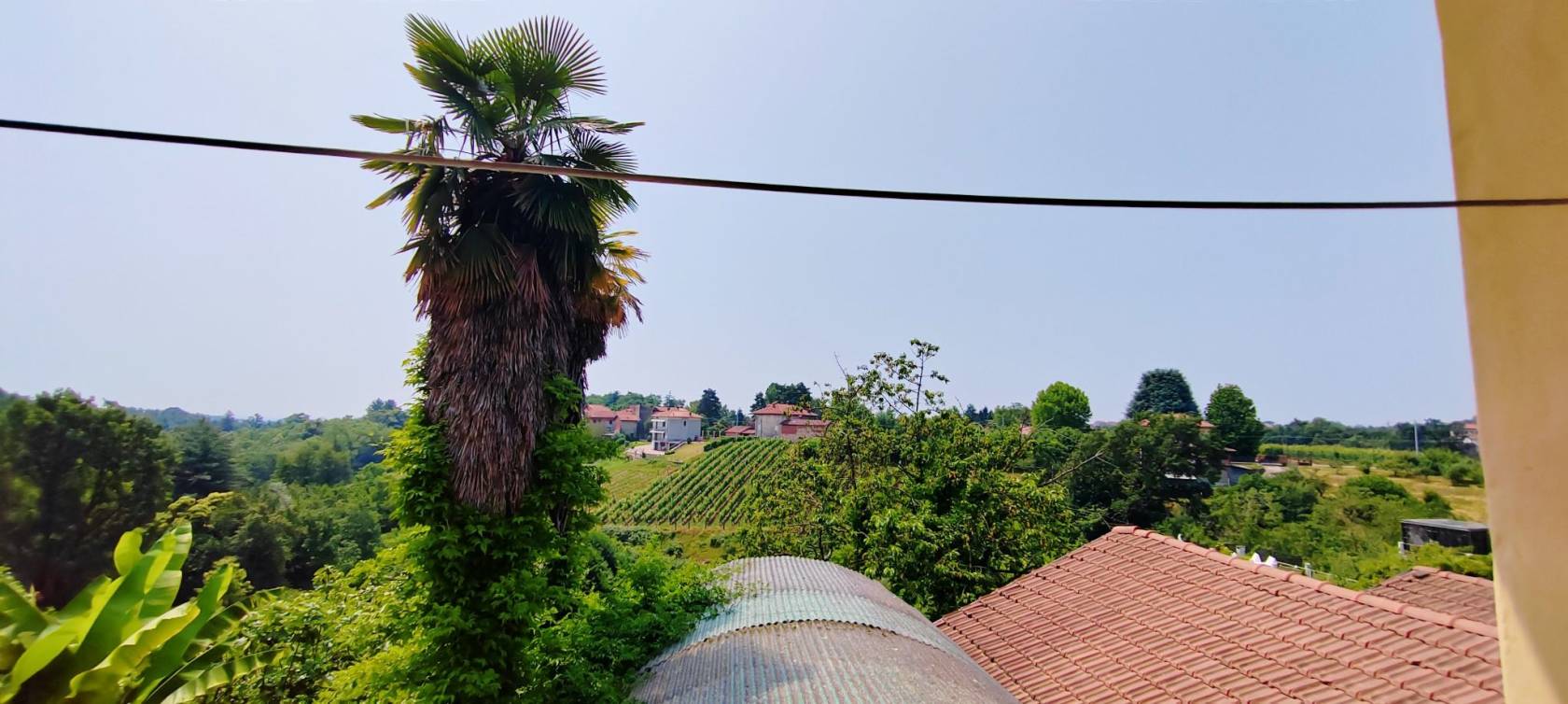 Vista