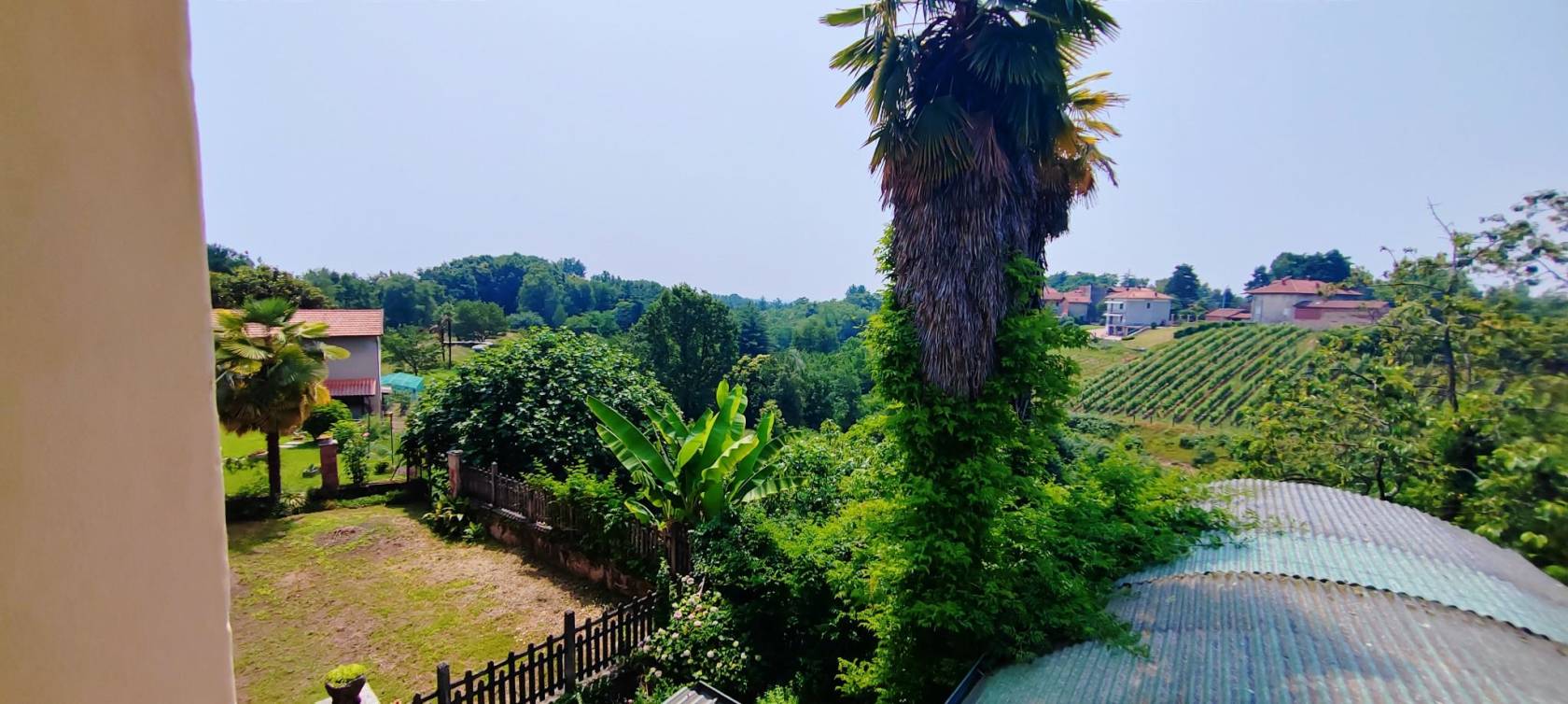Vista