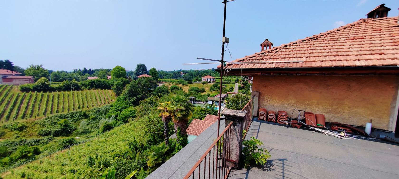 Vista