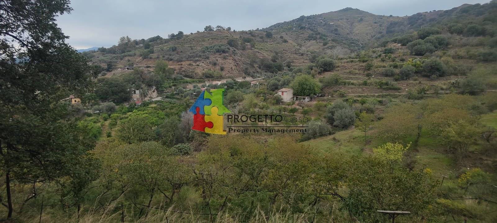 Terreno