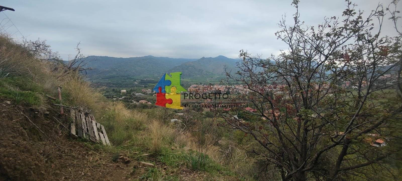 Terreno