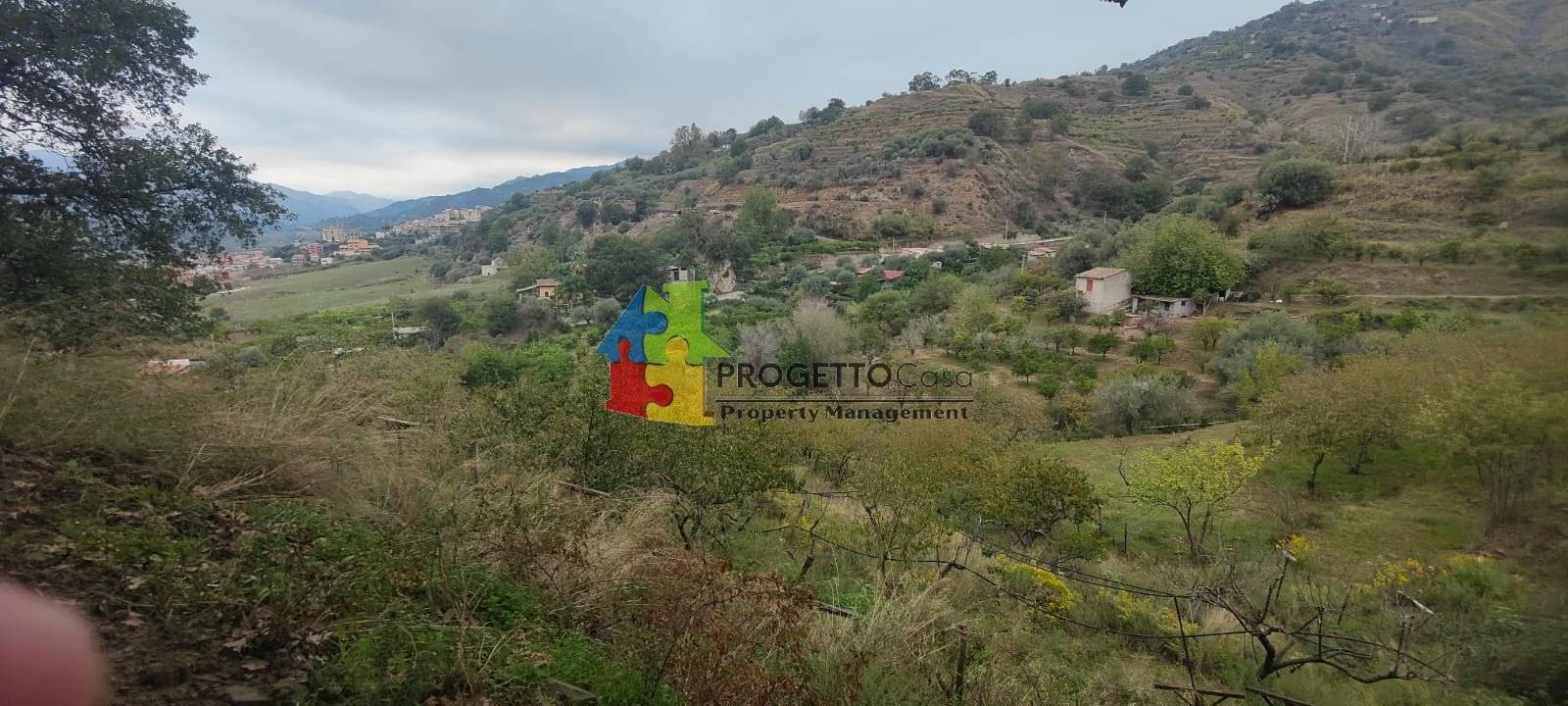 Terreno