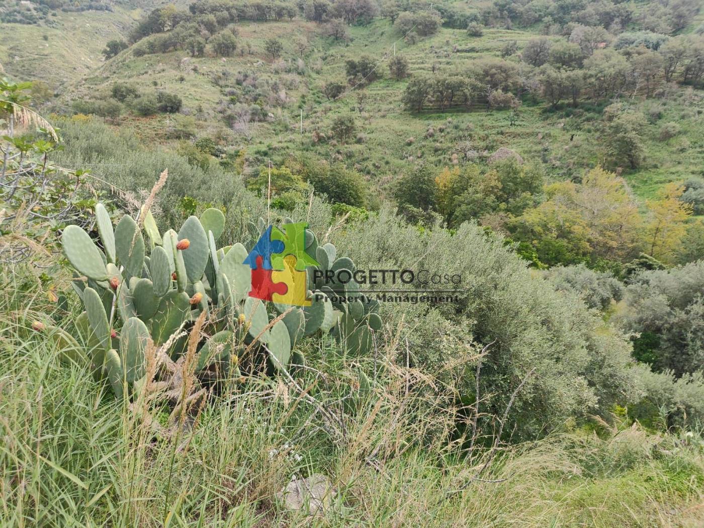 Terreno