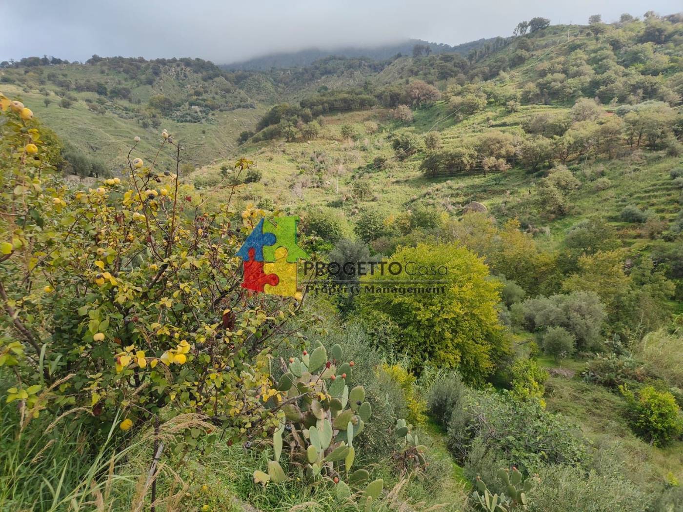 Terreno