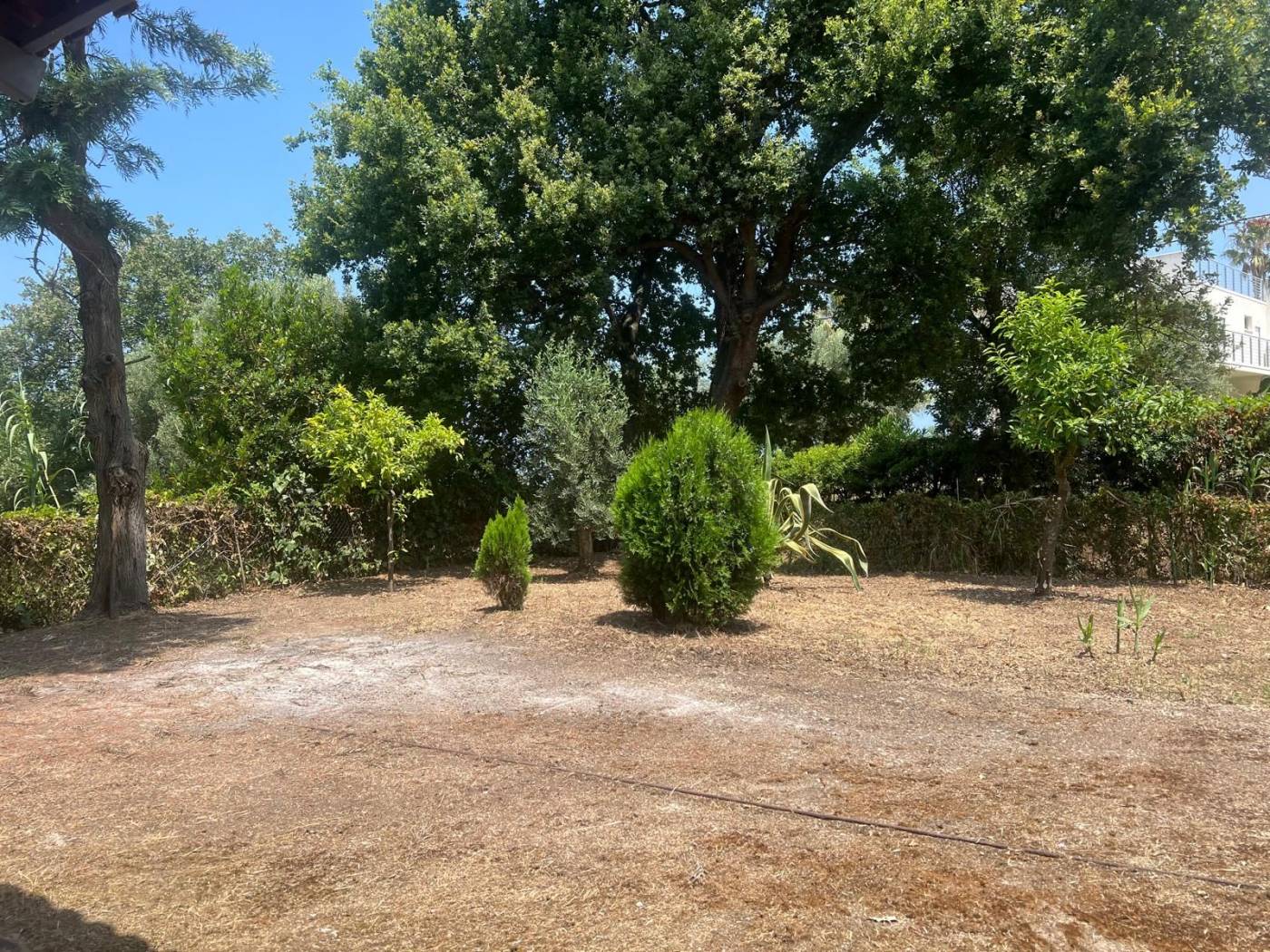Terreno