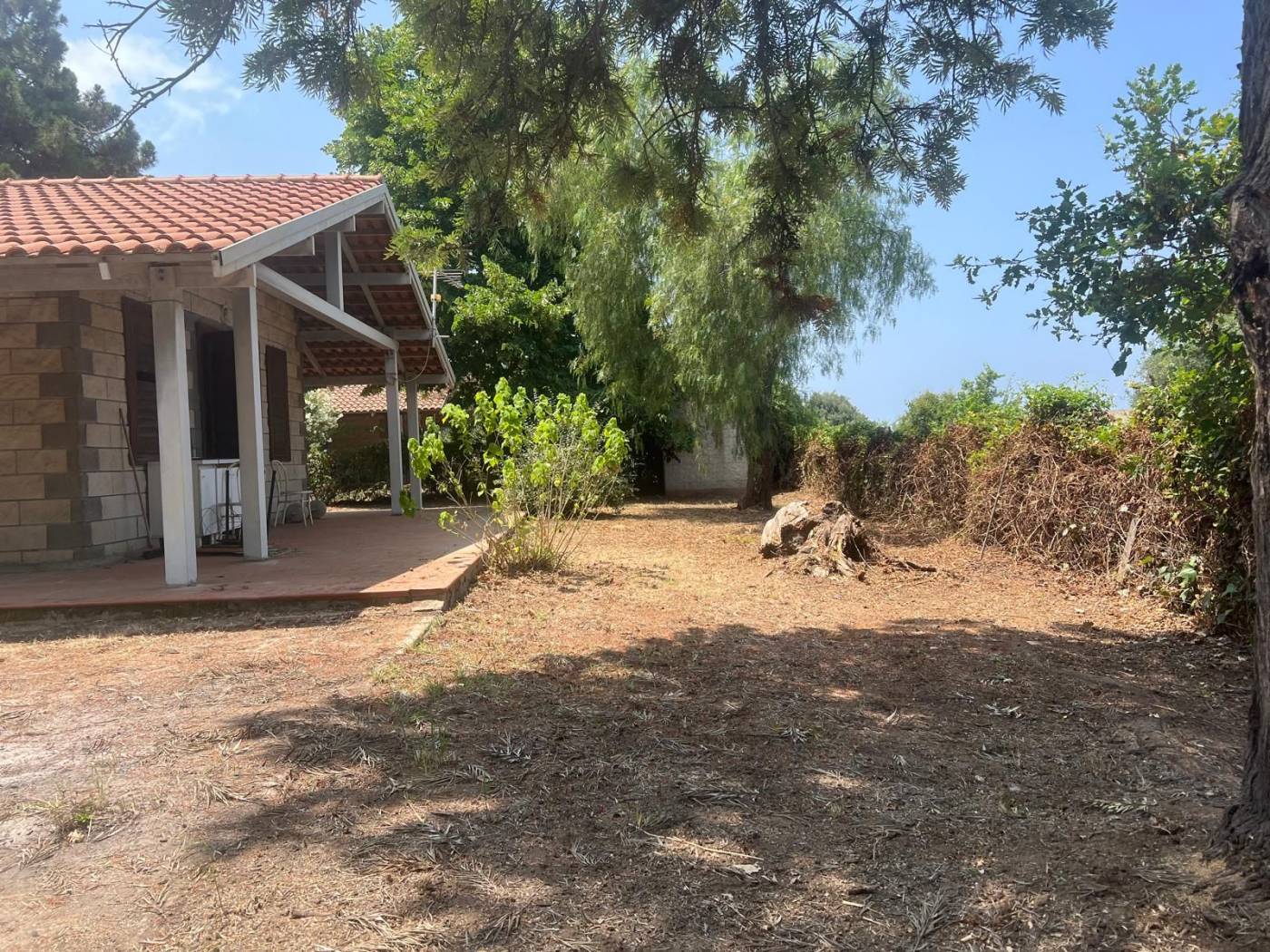 Terreno