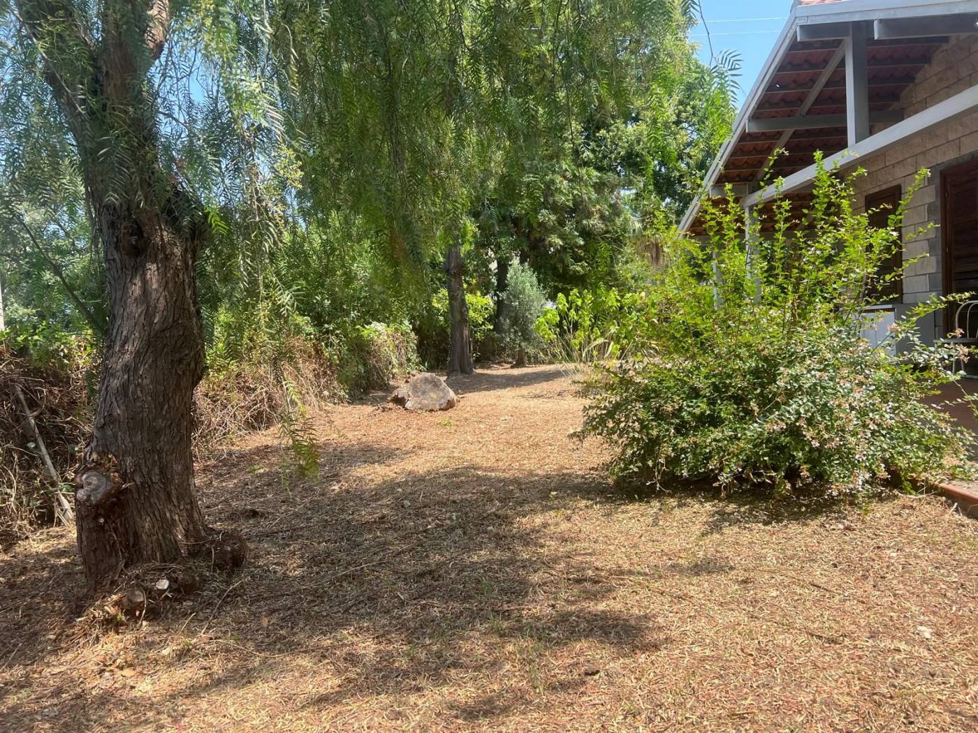 Terreno