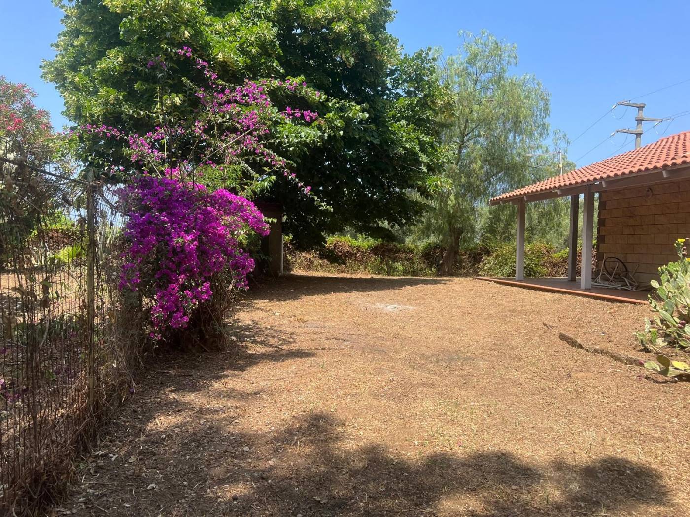 Terreno