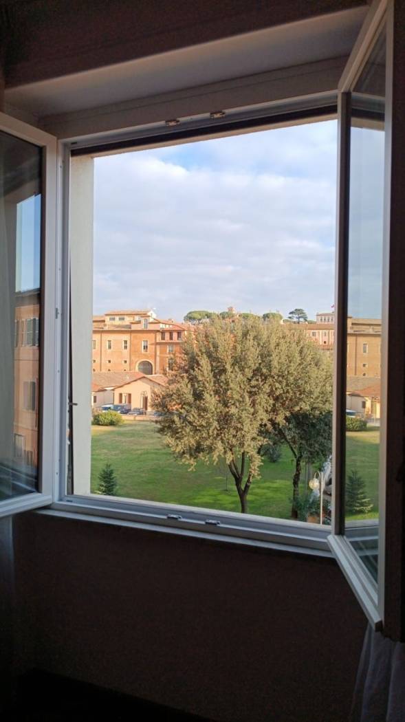 Vista