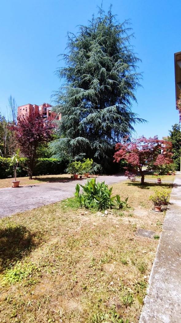 Giardino