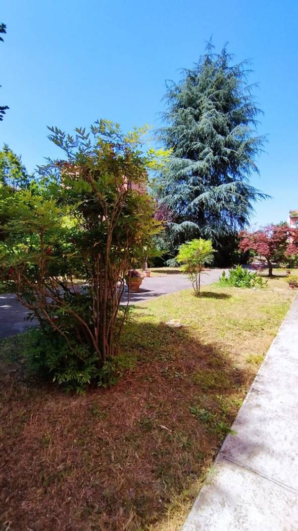 Giardino