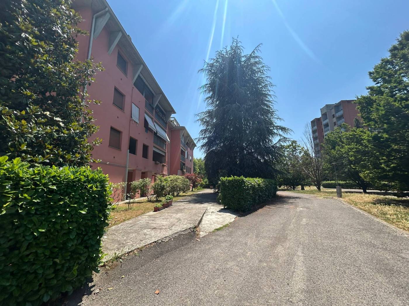 Giardino