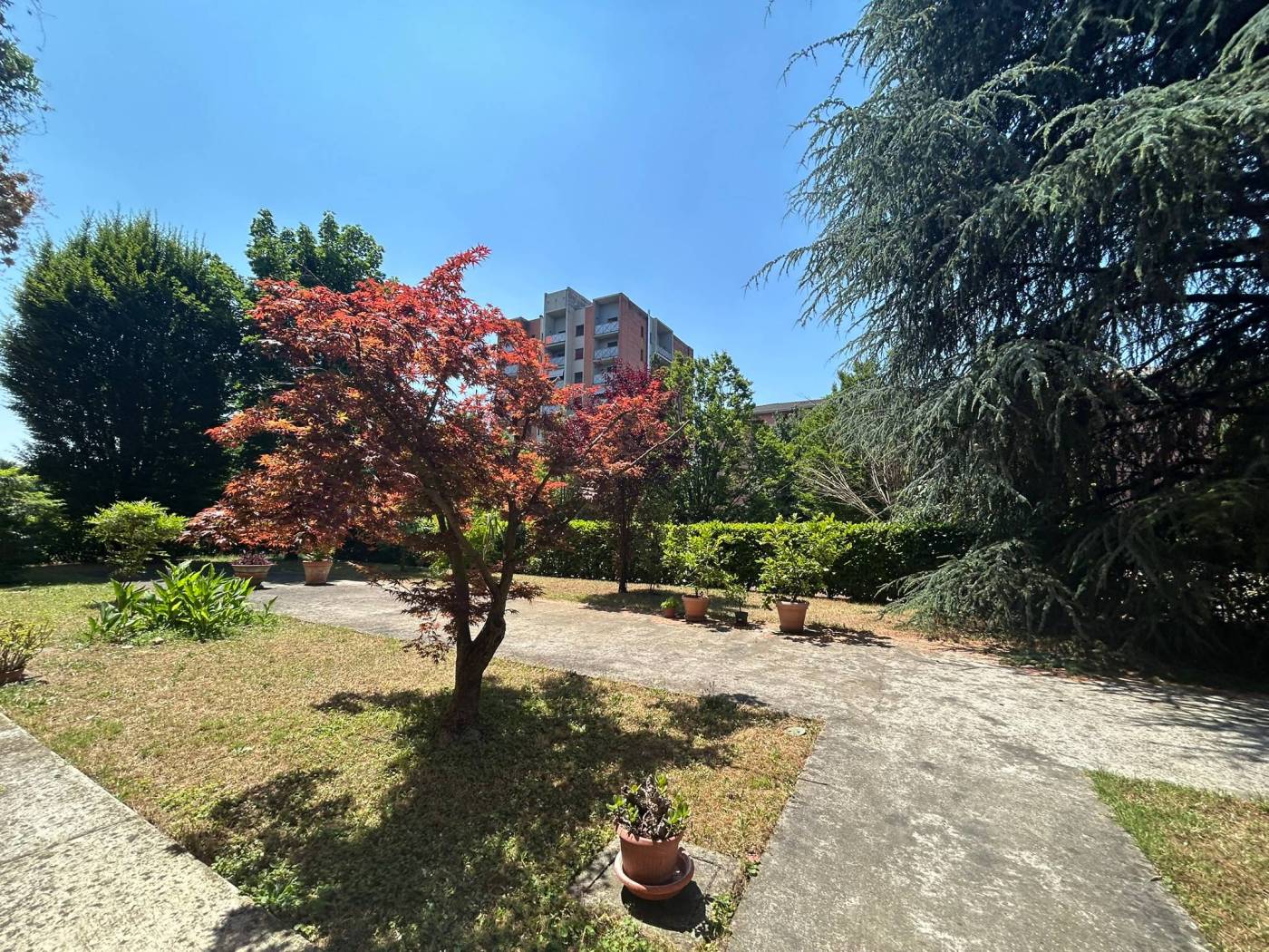 Giardino