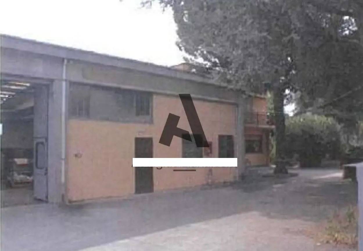 Zona