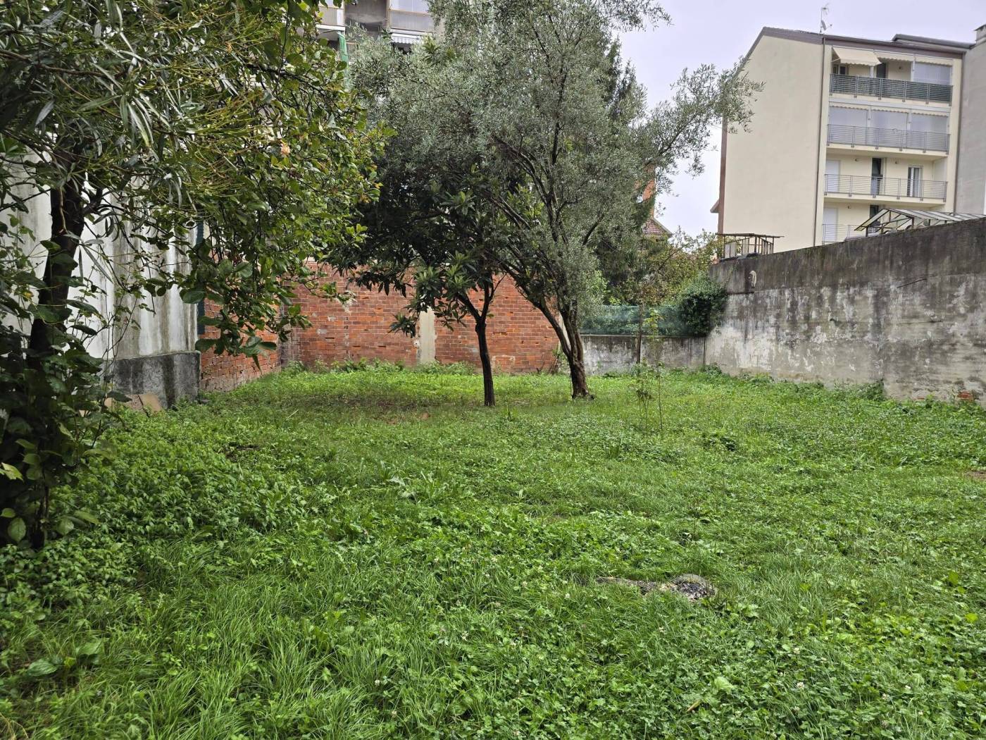 Terreno