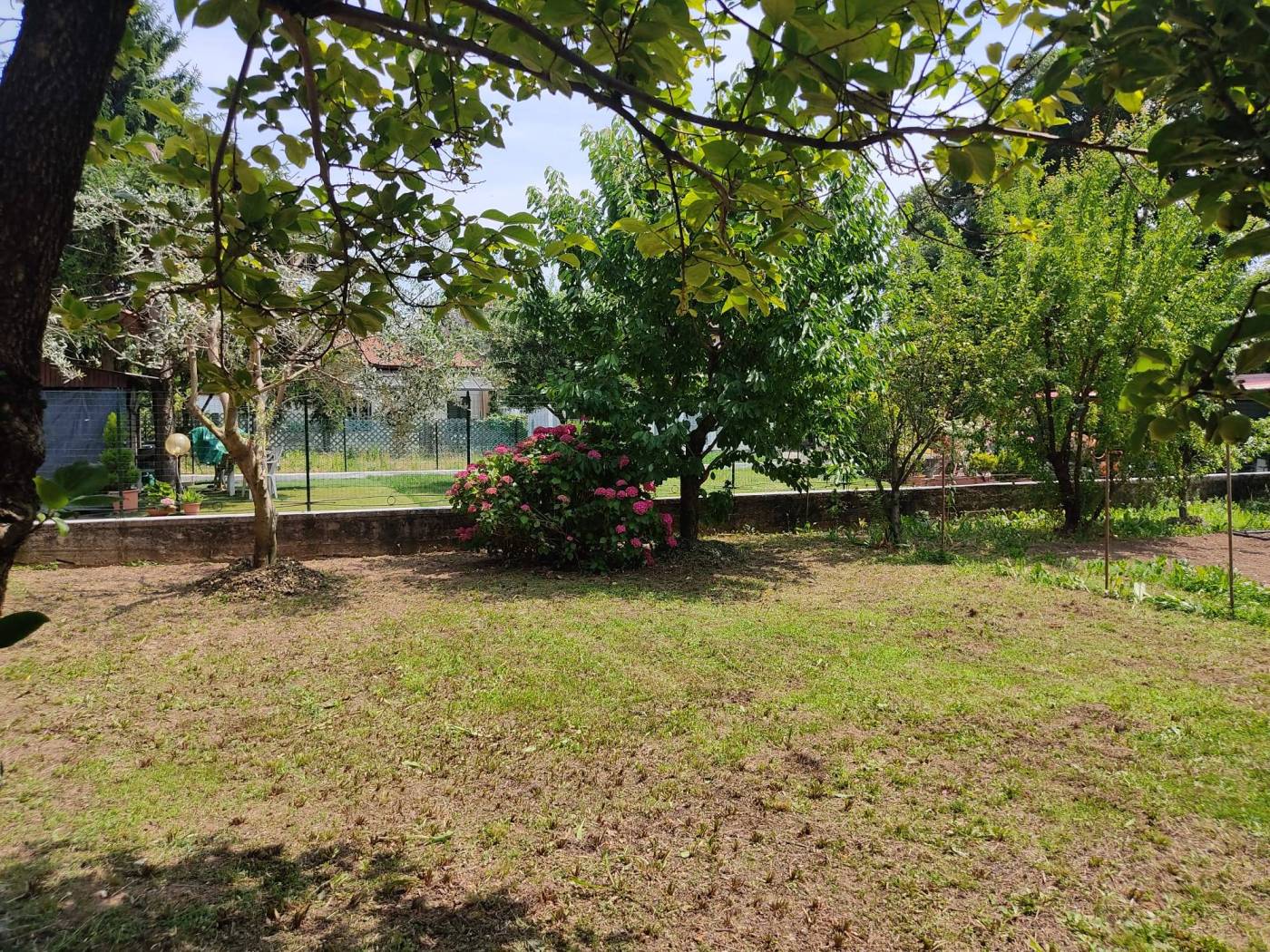 Giardino