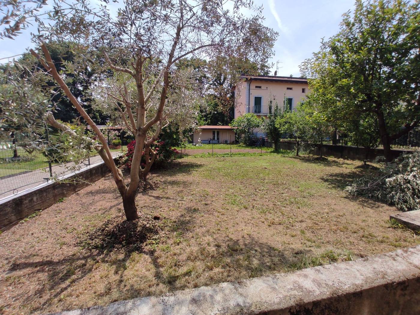 Terreno