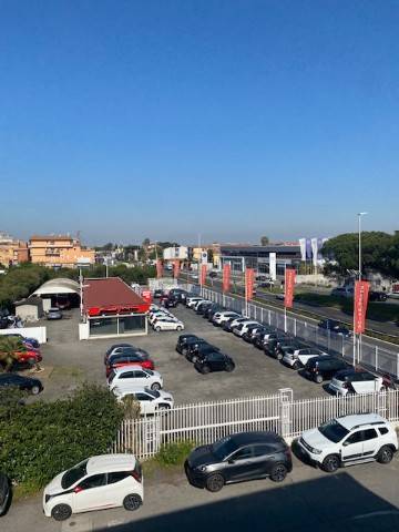 ROMA - AnagninaROMA