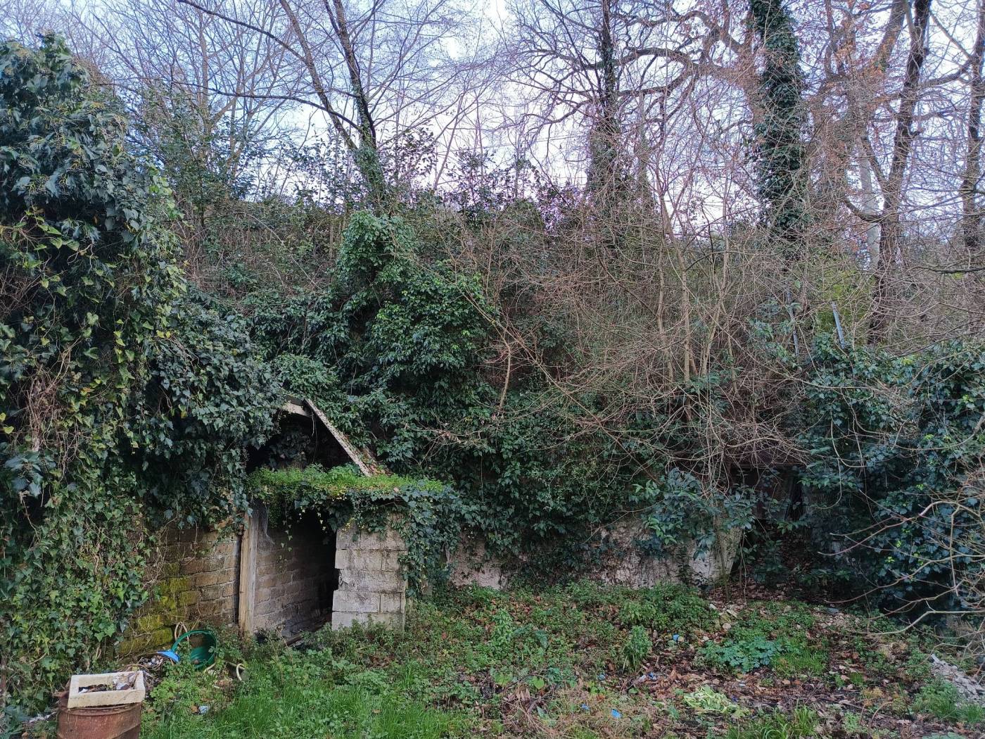 Terreno