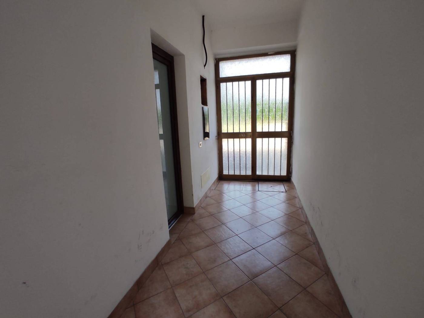 Ingresso