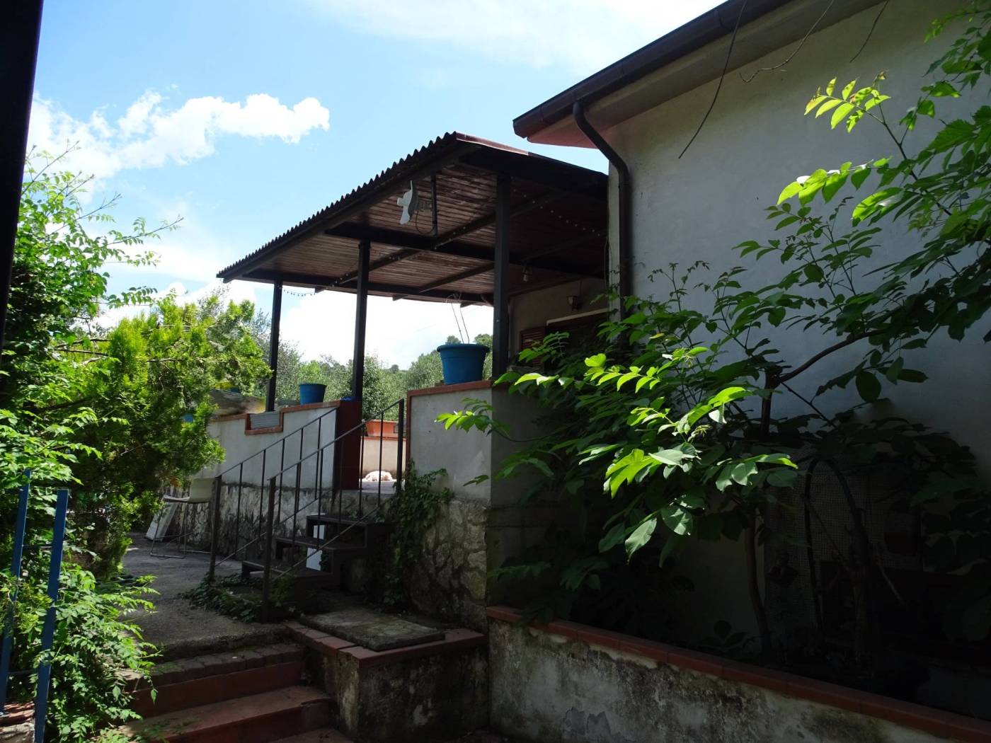 Giardino