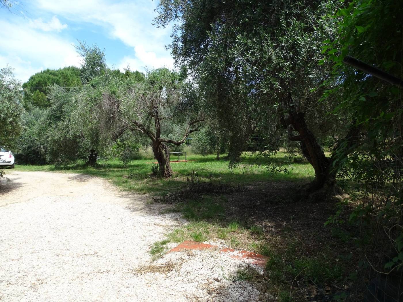 Terreno