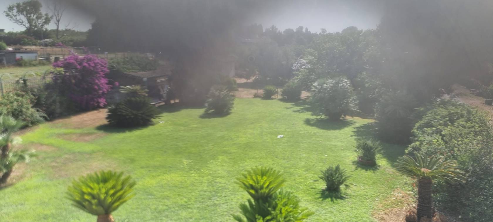 Vista