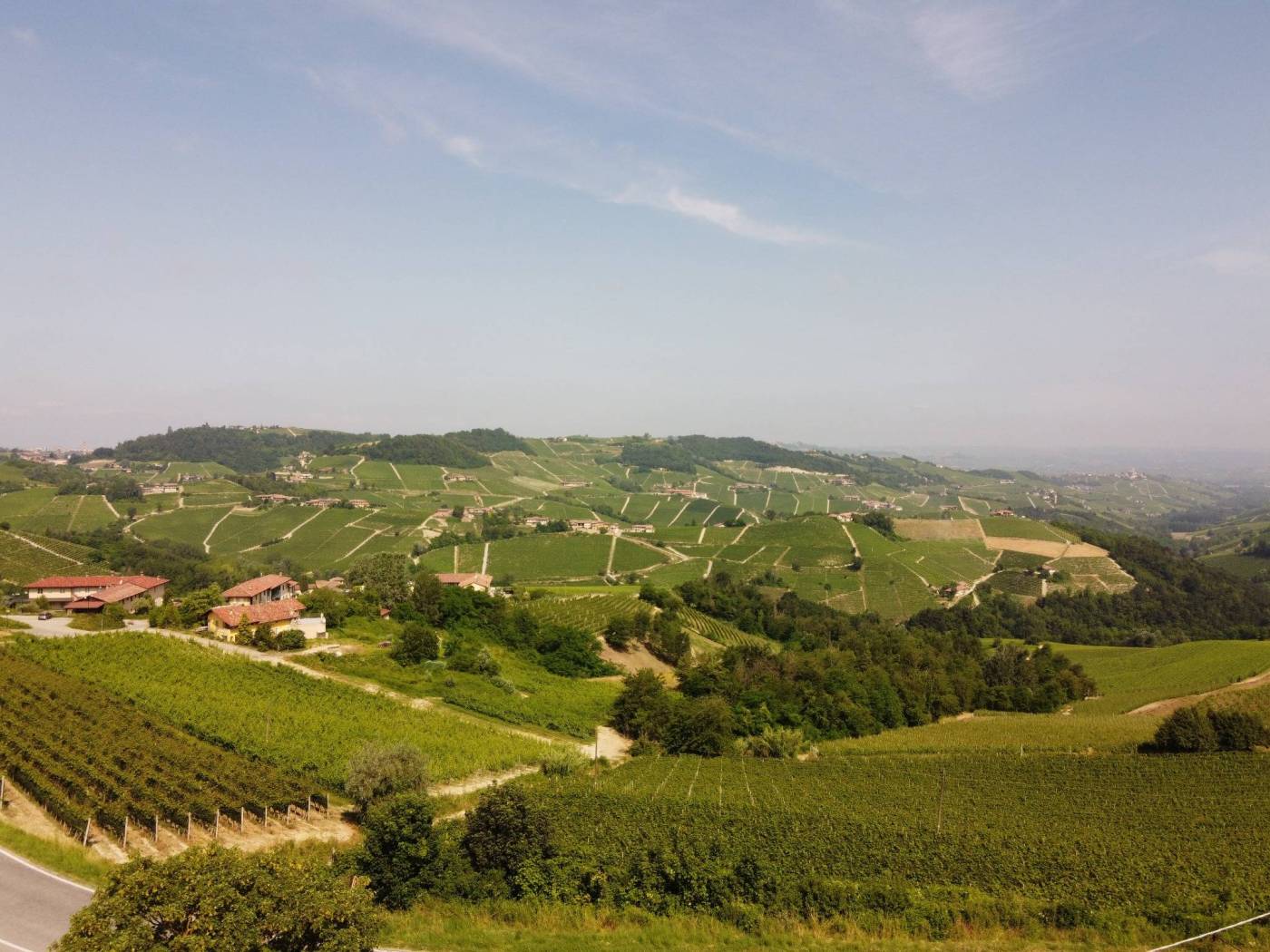 Vista