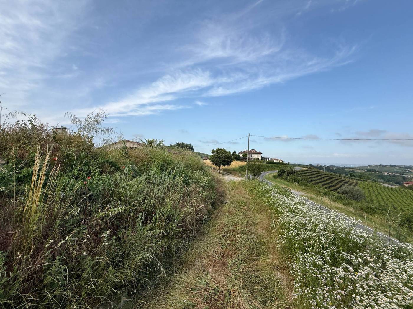 Terreno