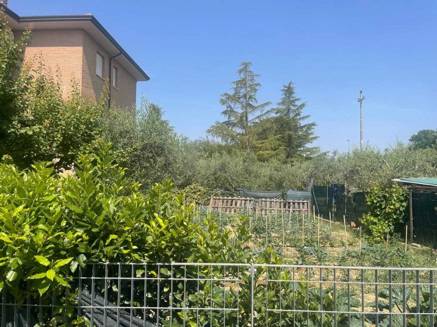 Terreno