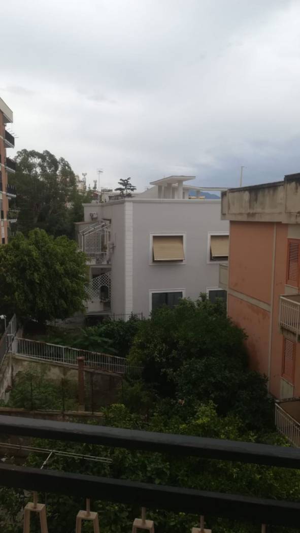 Vista