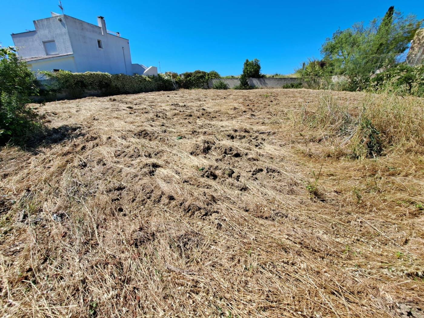 Terreno