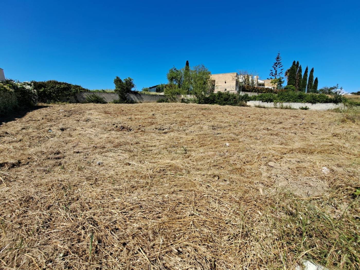 Terreno